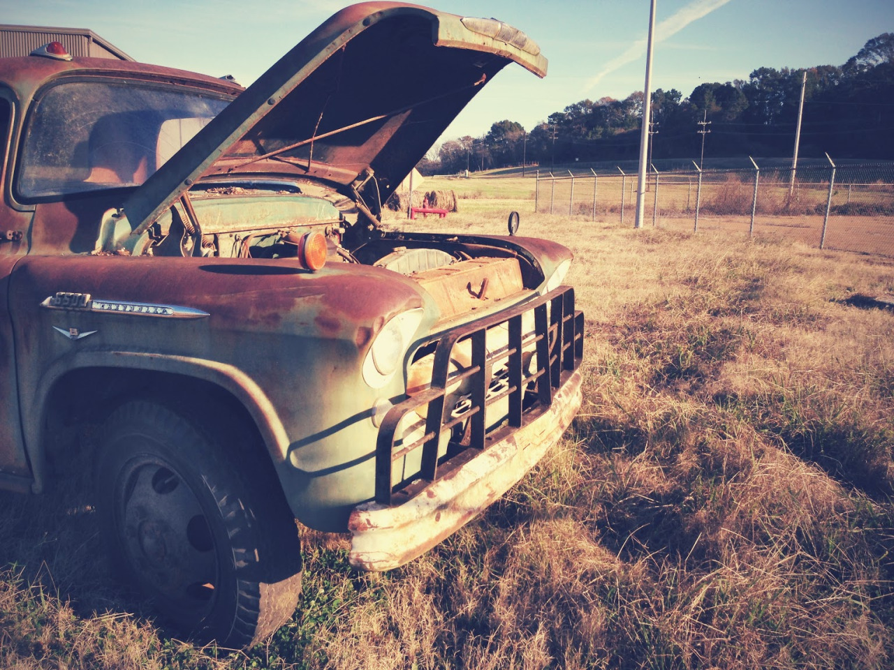 On the International Paper grounds, Natchez, MS, December 2013